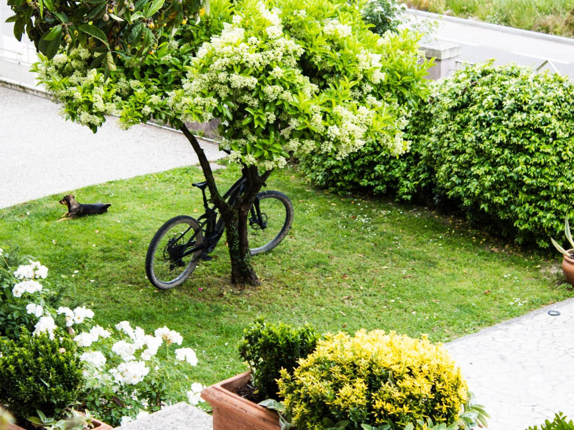 La Magnolia B&B And Apartments Arrone Exterior foto